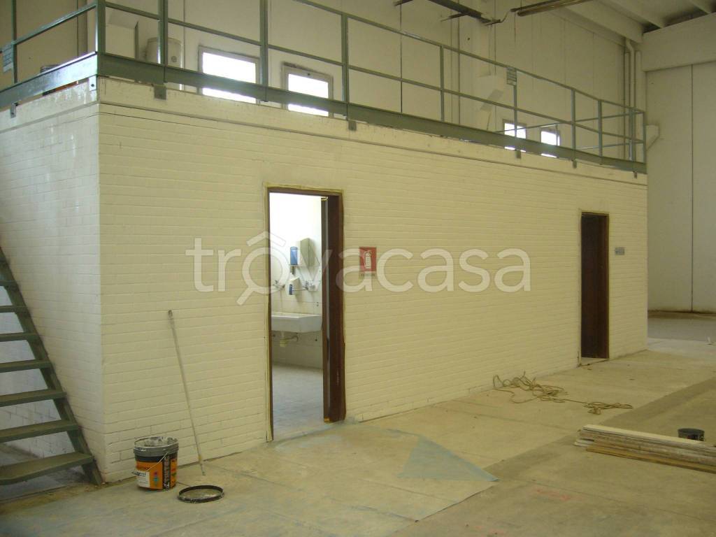immagine annuncio 2 di 7