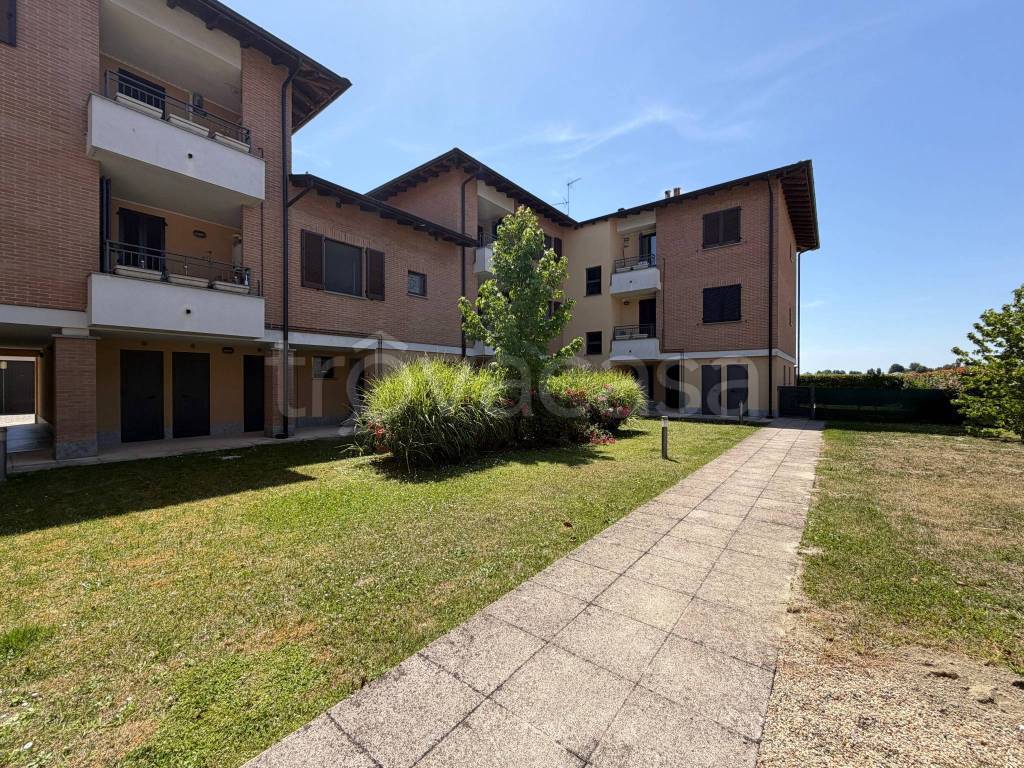 immagine annuncio 9 di 14