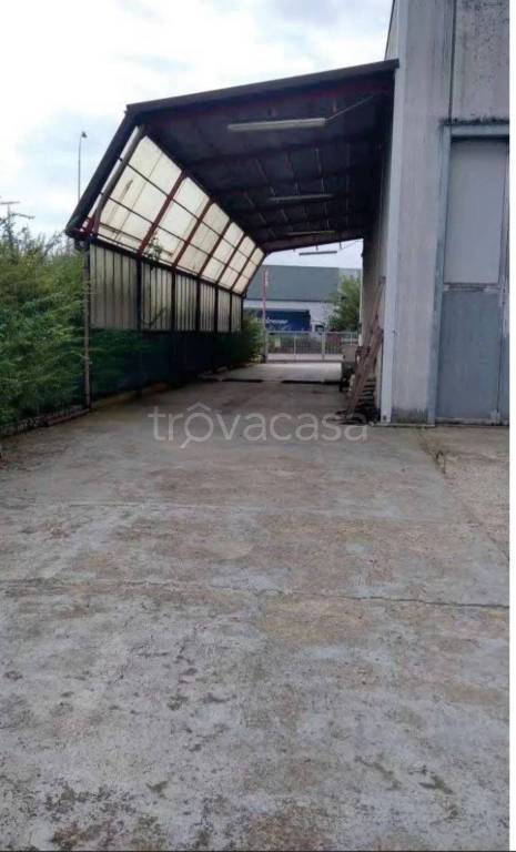 immagine annuncio 2 di 11