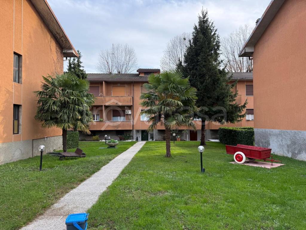 immagine annuncio 8 di 15