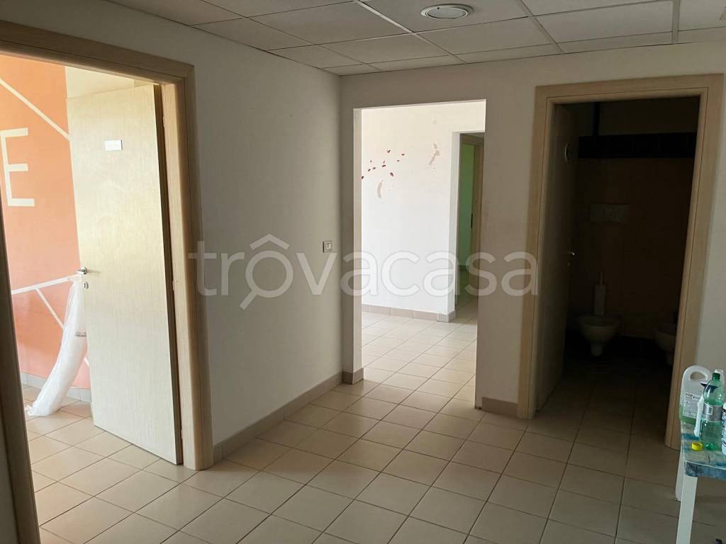 immagine annuncio 9 di 12