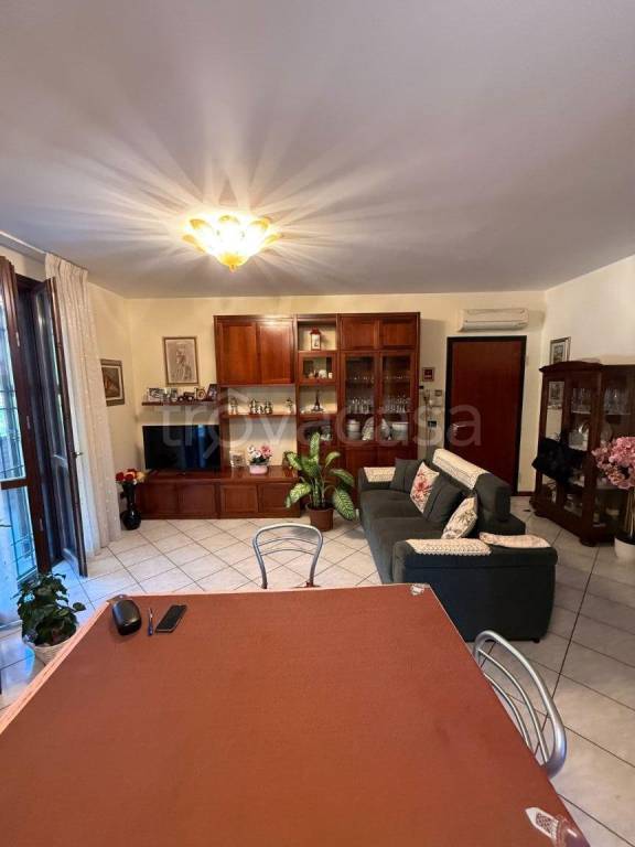 immagine annuncio 3 di 11
