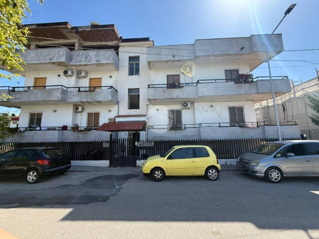 immagine annuncio 11 di 14