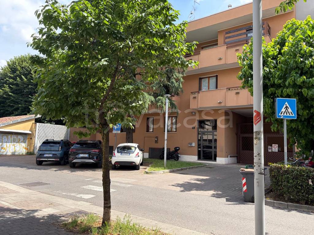 immagine annuncio 5 di 15