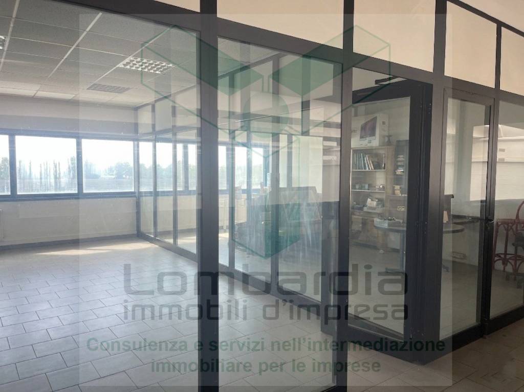 immagine annuncio 2 di 4
