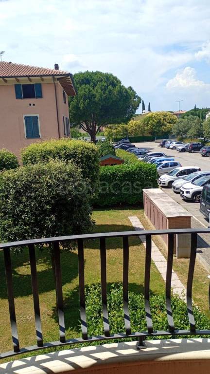 immagine annuncio 6 di 12