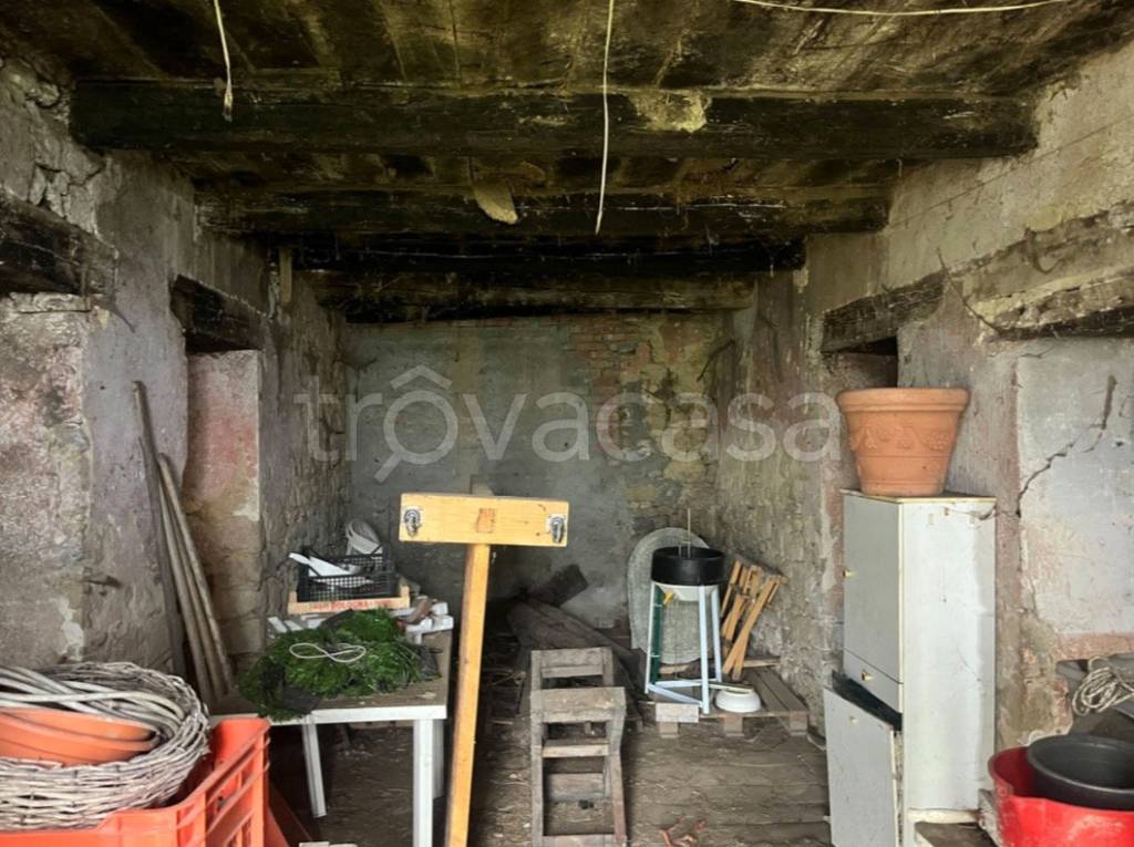 immagine annuncio 3 di 14