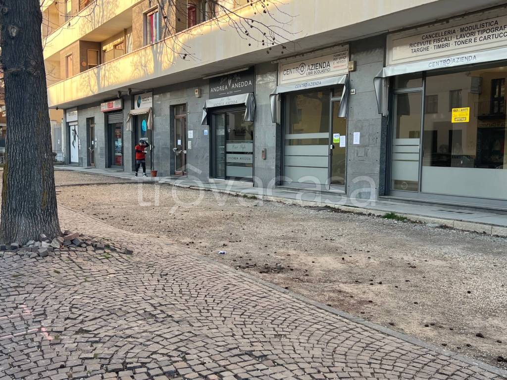 immagine annuncio 12 di 13