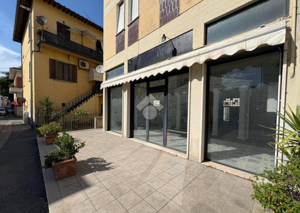 immagine annuncio 5 di 14