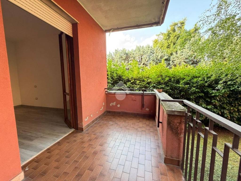 immagine annuncio 6 di 11