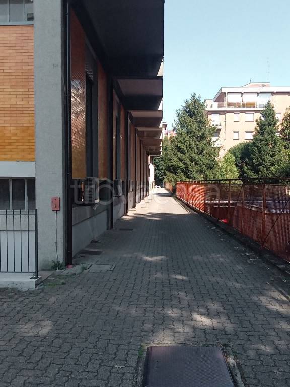 immagine annuncio 13 di 15