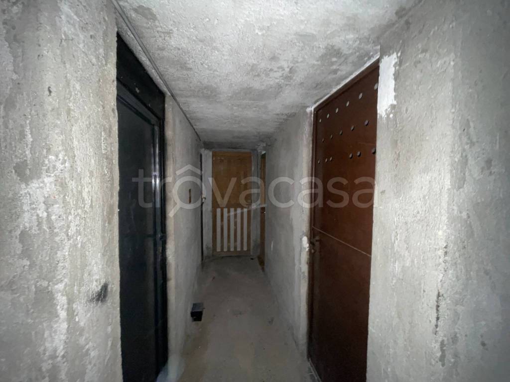 immagine annuncio 12 di 14