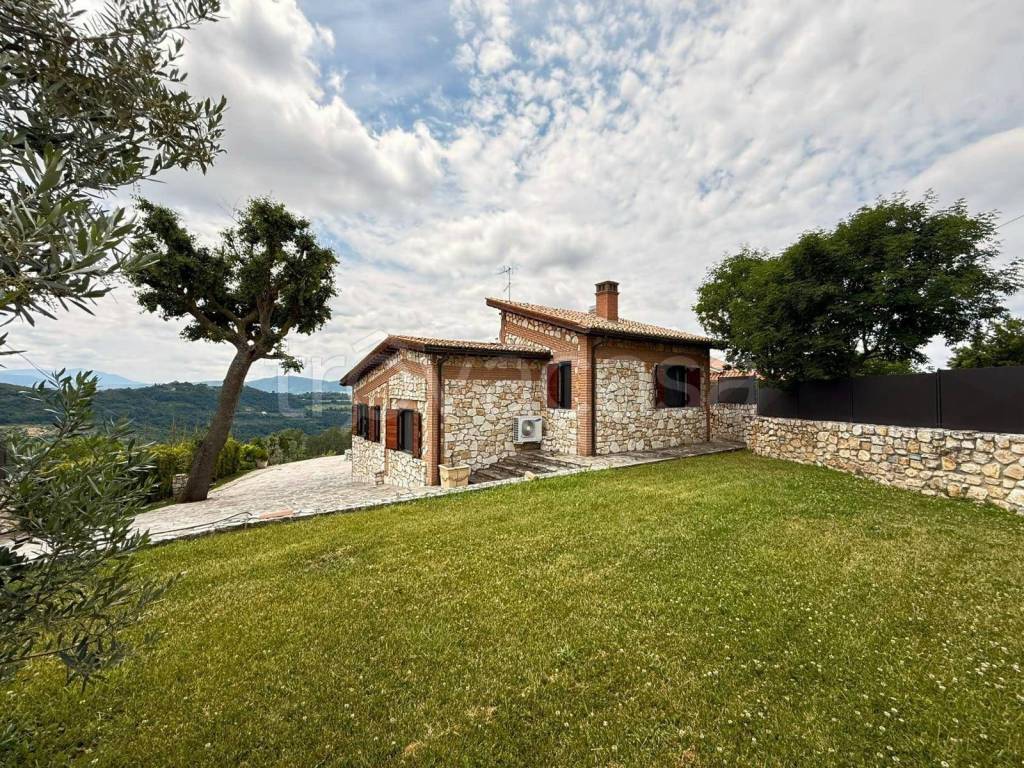 immagine annuncio 3 di 14