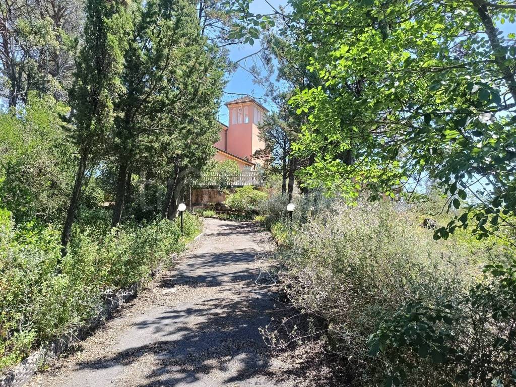 immagine annuncio 6 di 7
