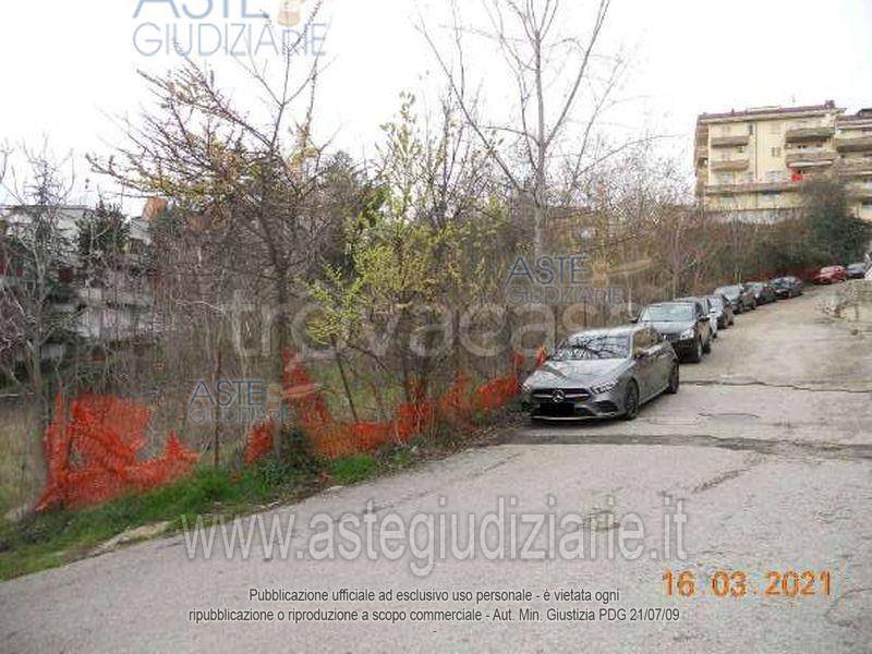 immagine annuncio 5 di 14