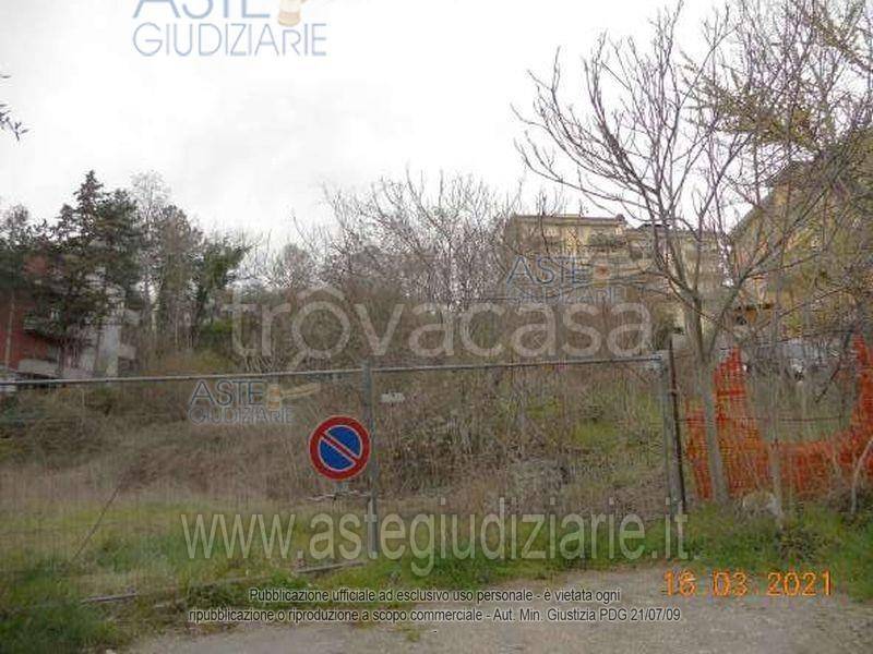 immagine annuncio 6 di 14