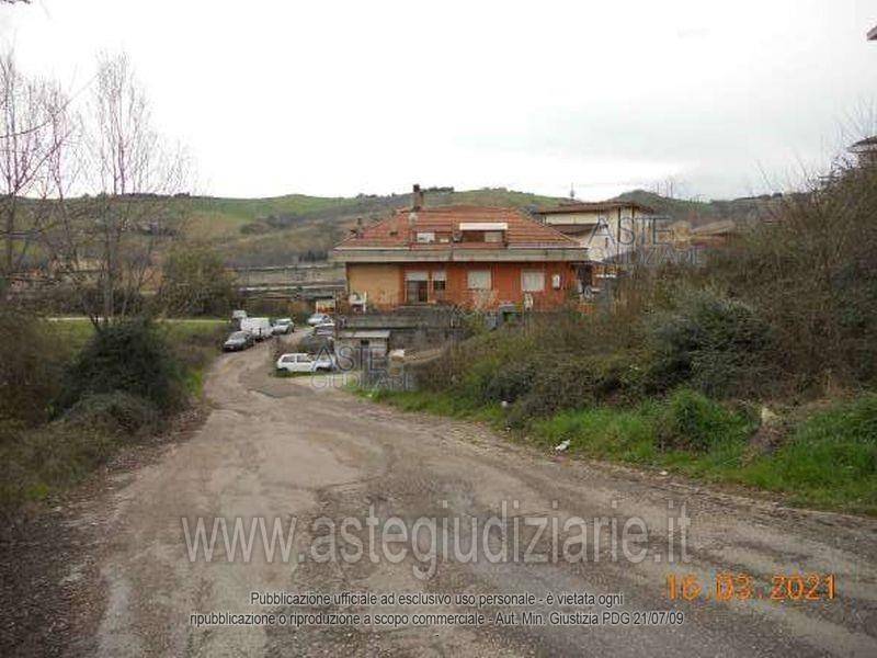 immagine annuncio 10 di 14