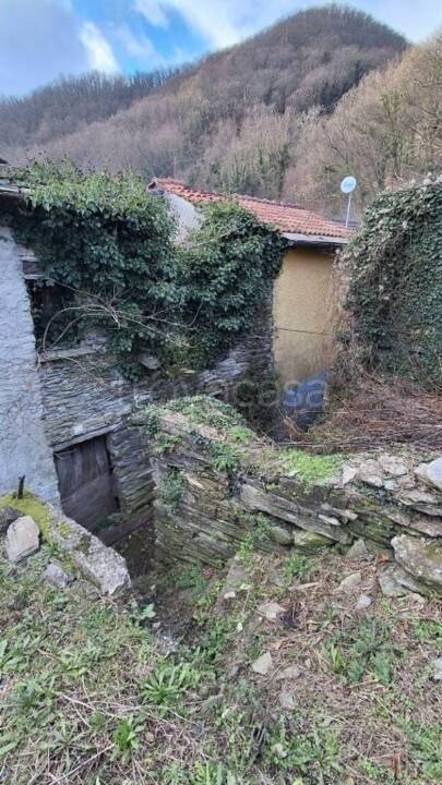 immagine annuncio 6 di 9