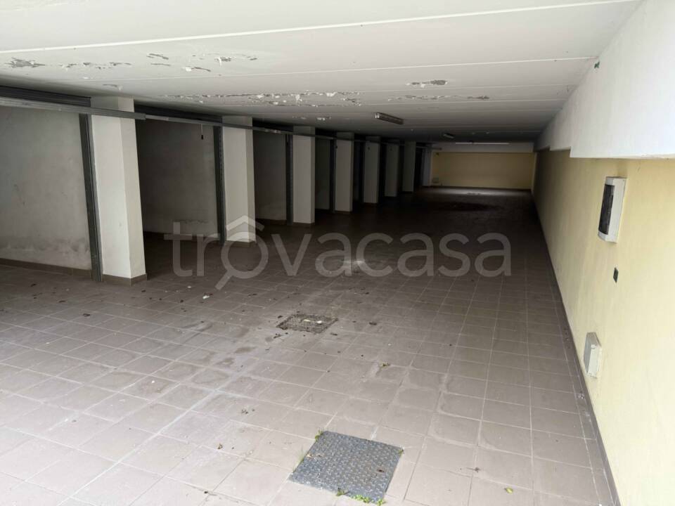immagine annuncio 3 di 8