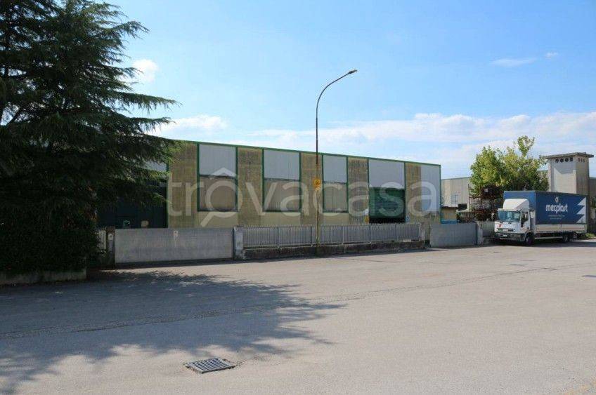 immagine annuncio 6 di 8