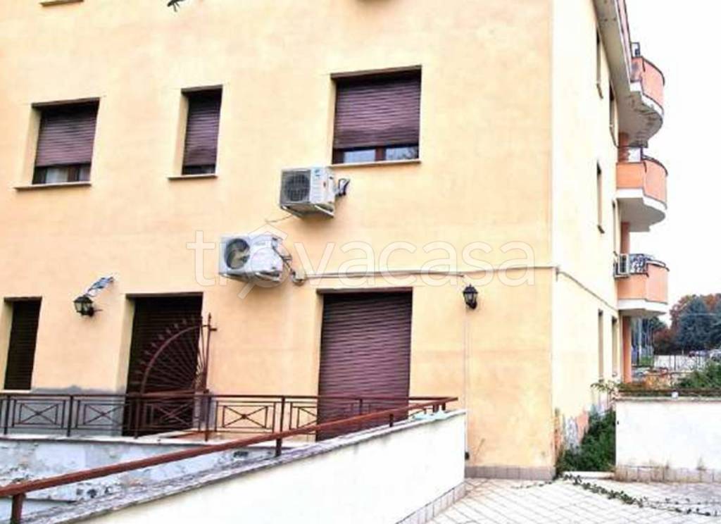immagine annuncio 5 di 13