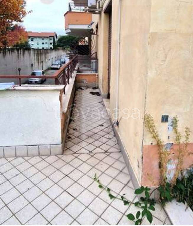 immagine annuncio 7 di 13