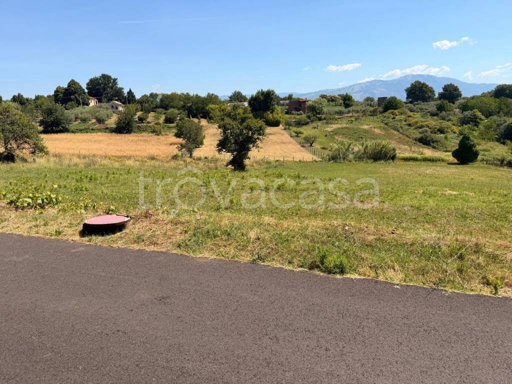 immagine annuncio 4 di 7