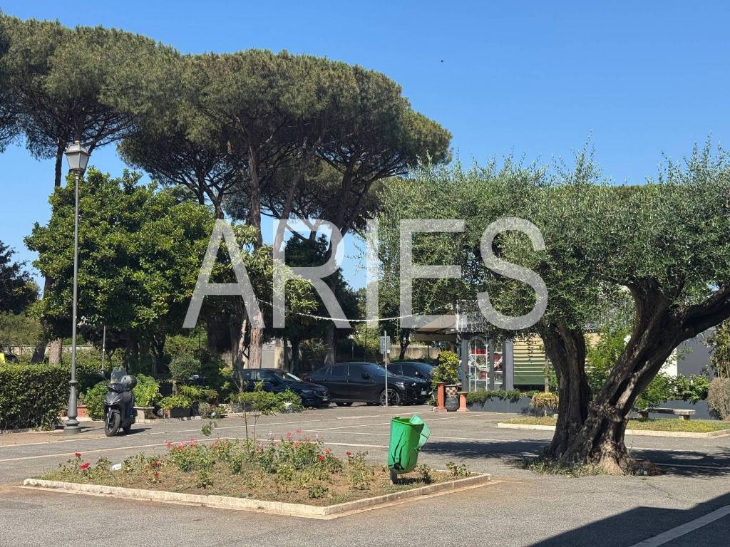 immagine annuncio 2 di 3