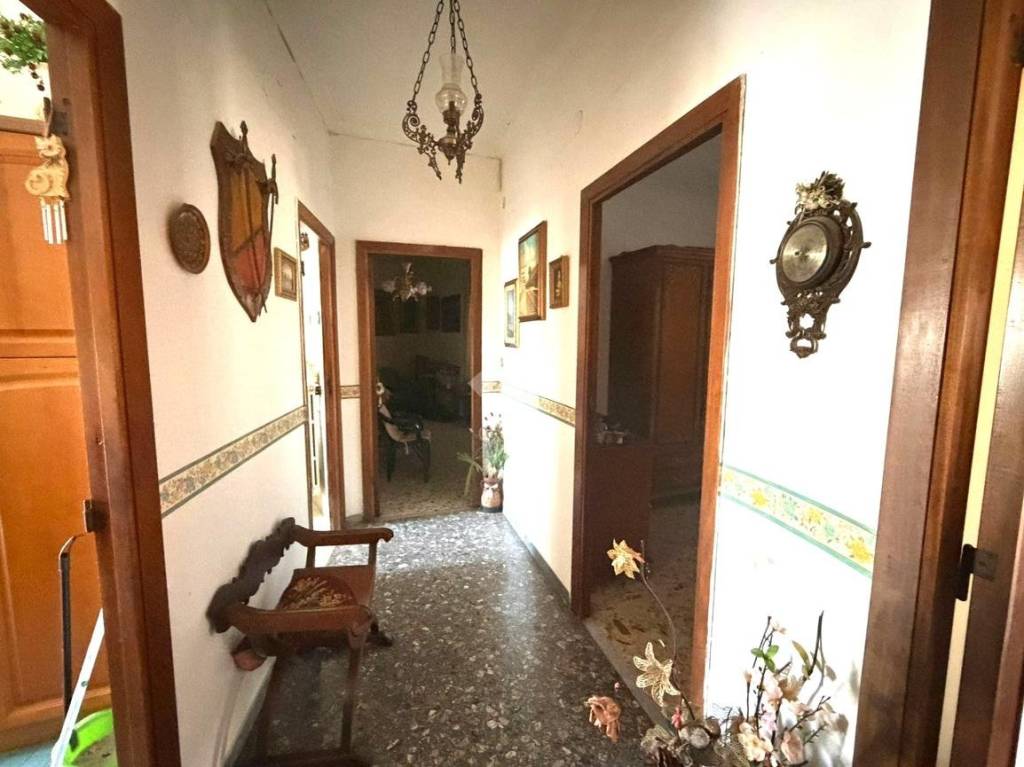 immagine annuncio 4 di 13