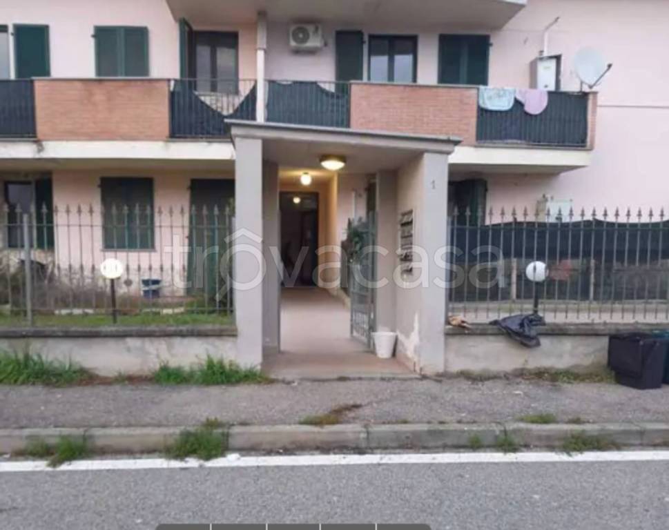 immagine annuncio 5 di 11