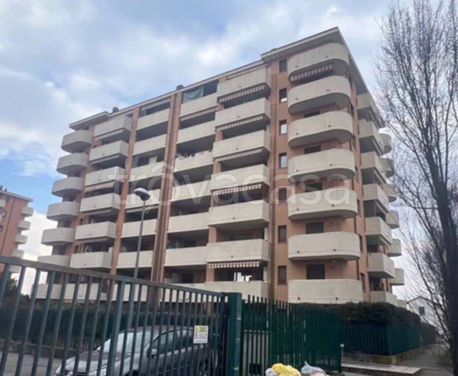immagine annuncio 3 di 14