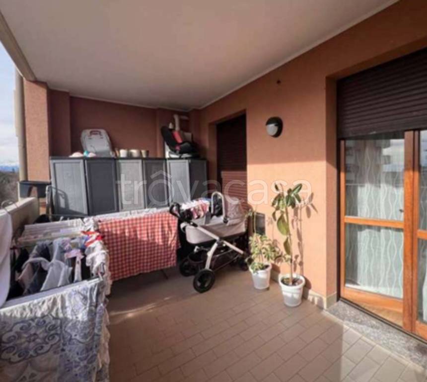 immagine annuncio 11 di 14
