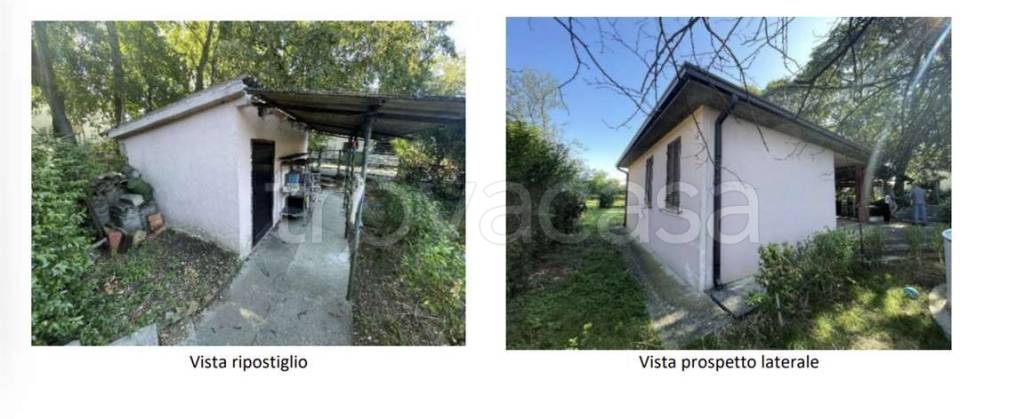 immagine annuncio 5 di 11