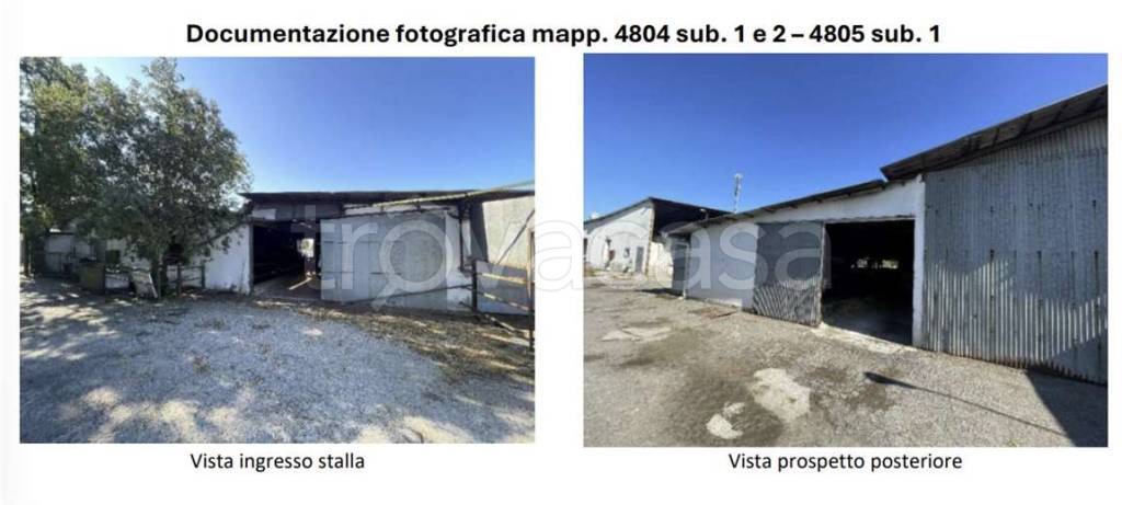 immagine annuncio 6 di 11