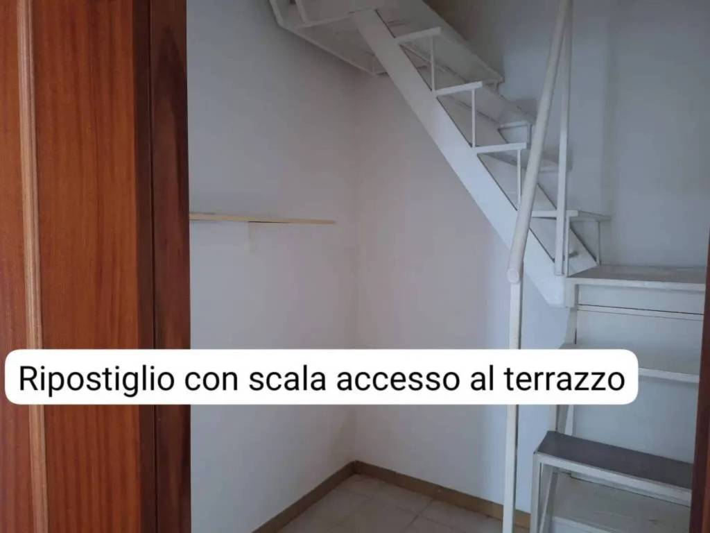 immagine annuncio 3 di 12