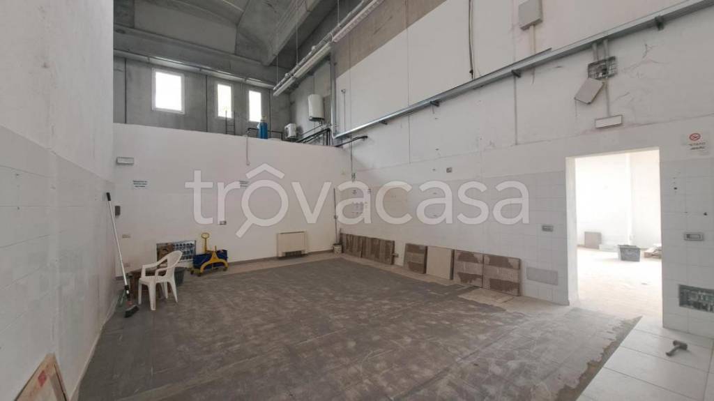 immagine annuncio 11 di 14