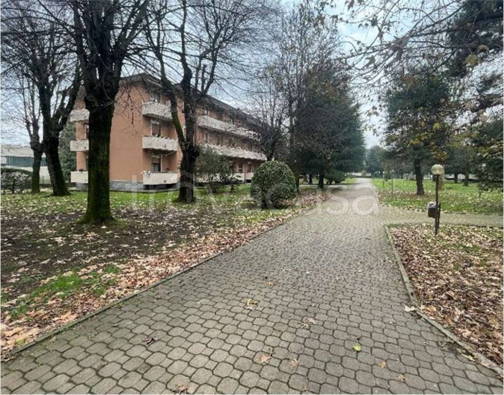 immagine annuncio 1 di 14