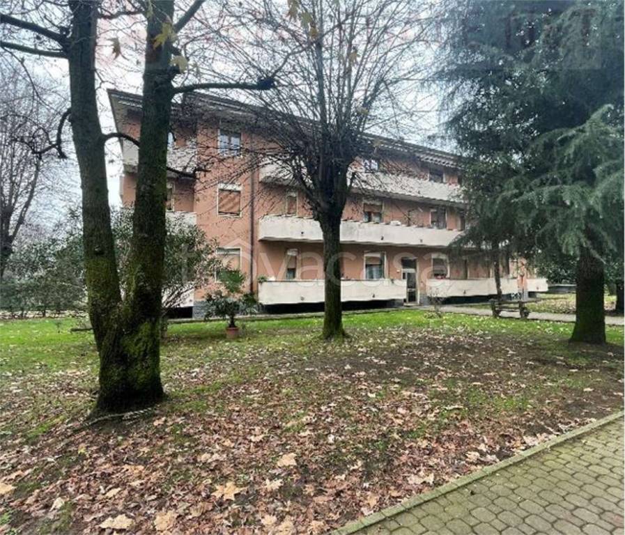 immagine annuncio 10 di 14