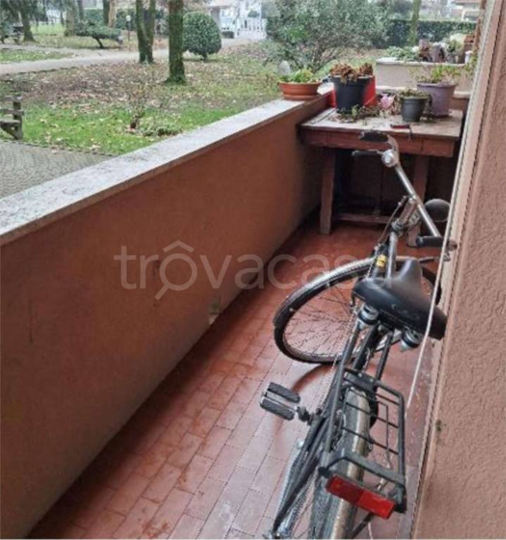 immagine annuncio 13 di 14