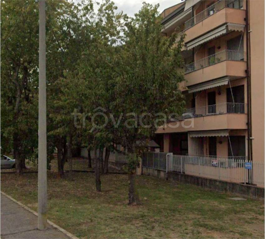 immagine annuncio 4 di 13