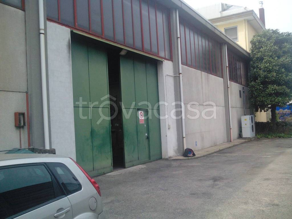 immagine annuncio 7 di 11