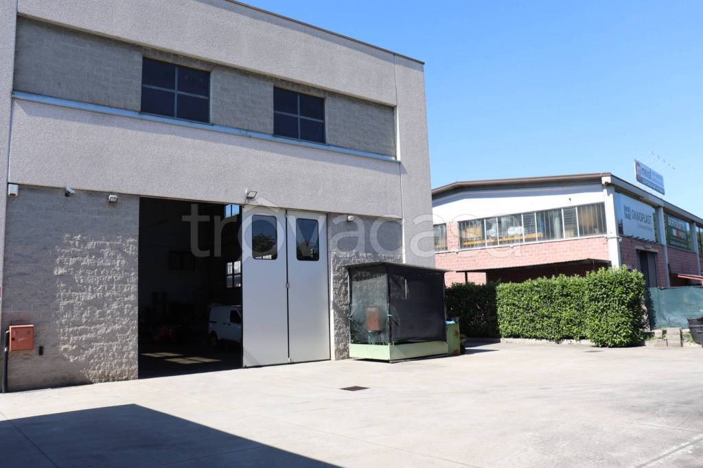 immagine annuncio 5 di 15
