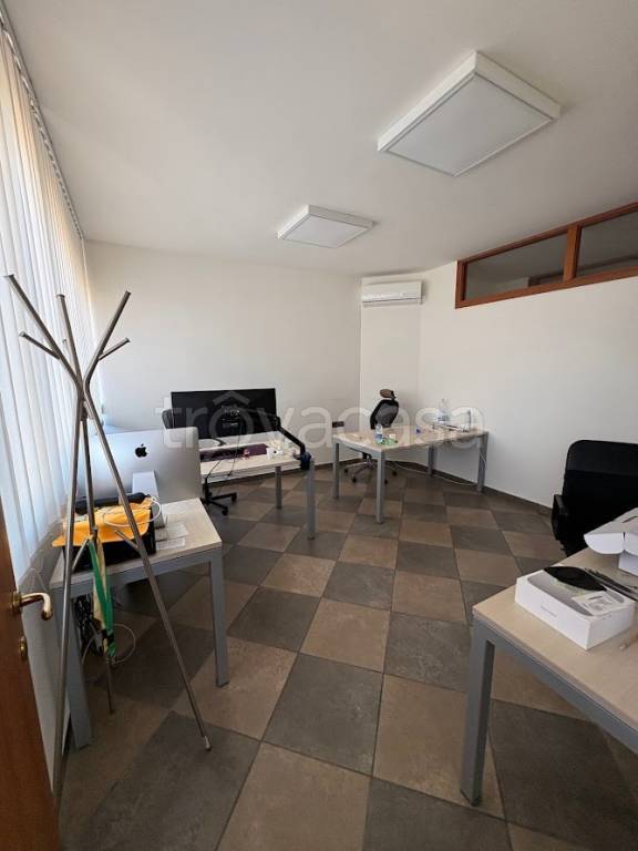 immagine annuncio 9 di 14