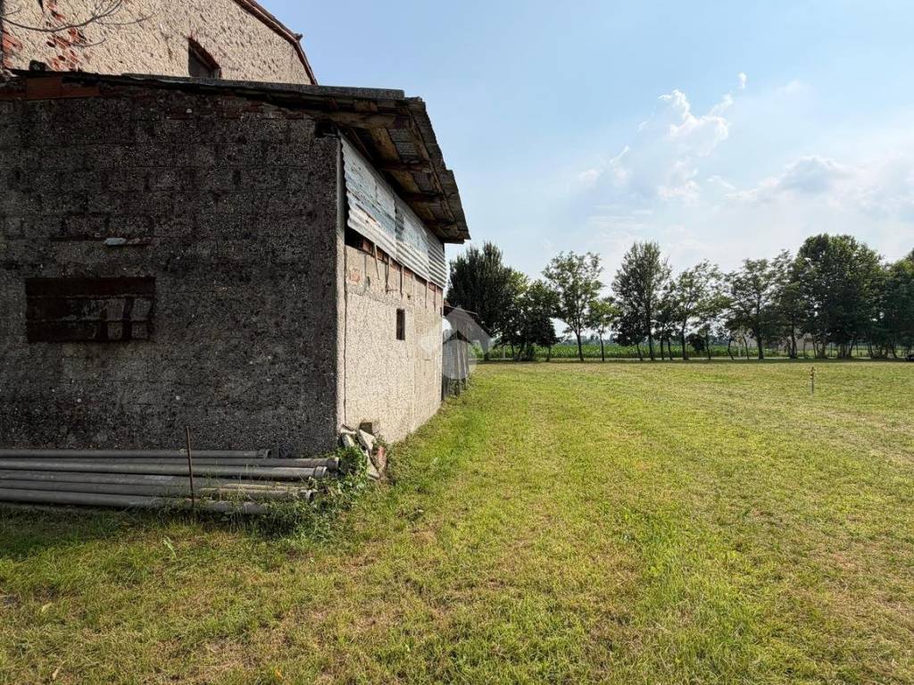 immagine annuncio 11 di 15