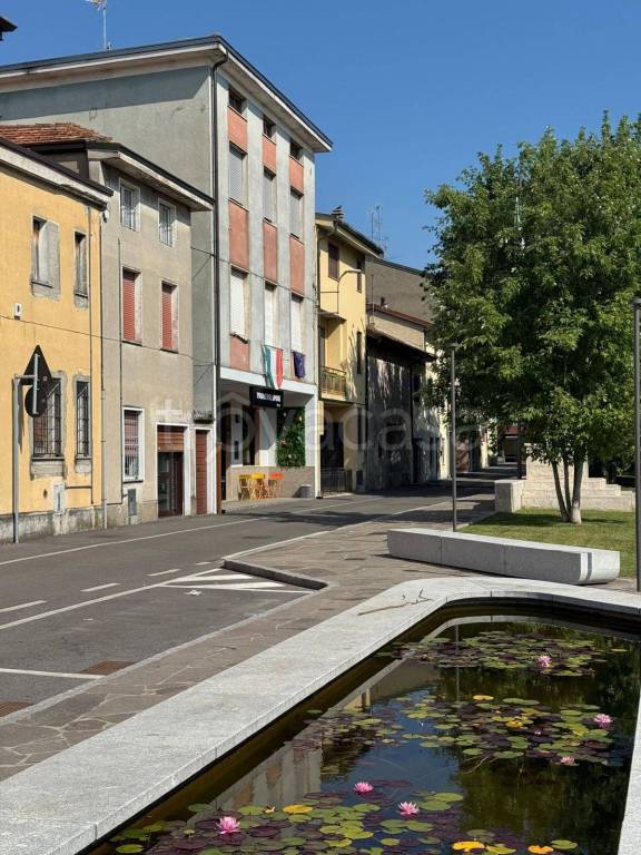 immagine annuncio 5 di 12