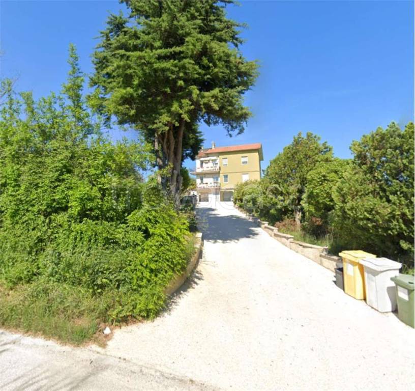 immagine annuncio 1 di 12