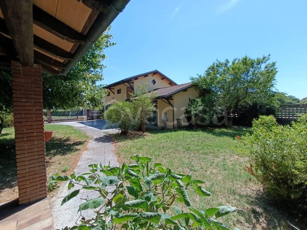 immagine annuncio 10 di 13