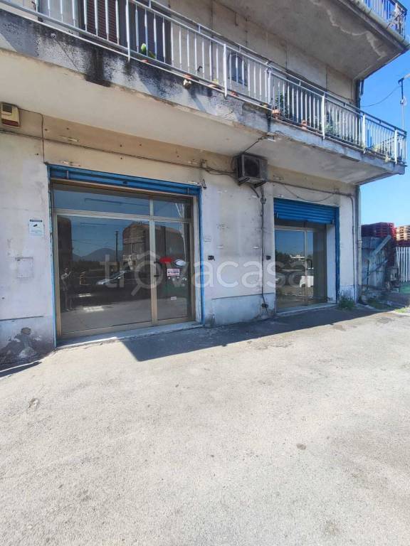 immagine annuncio 4 di 6