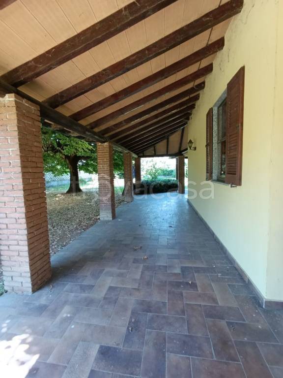 immagine annuncio 3 di 8