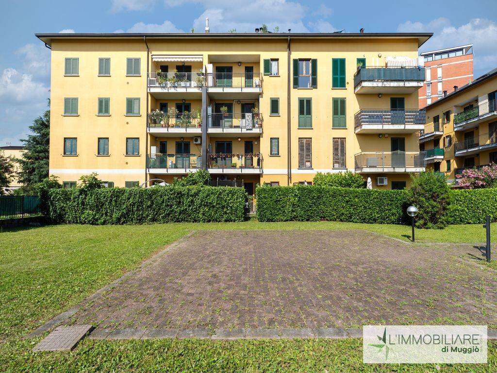immagine annuncio 4 di 15
